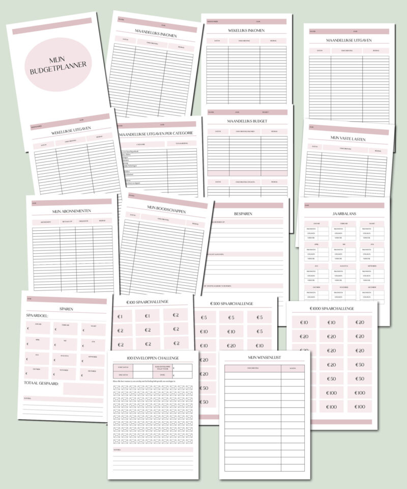 Mijn budgetplanner - Afbeelding 4