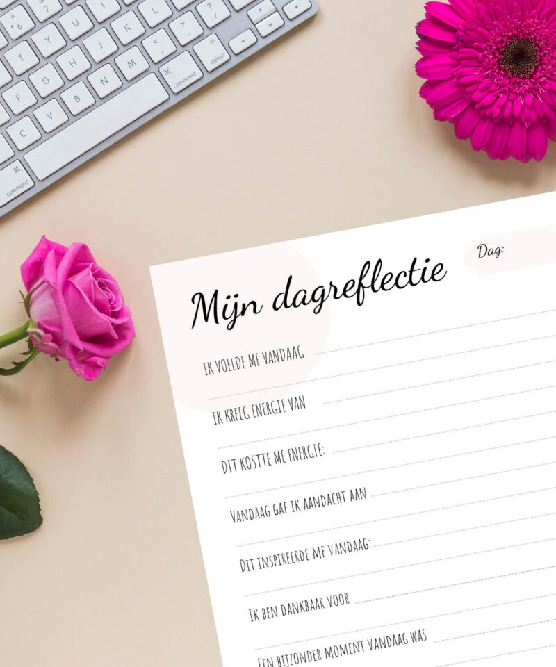 Mijn dagreflectie (5 minuten dagboek) - Afbeelding 4