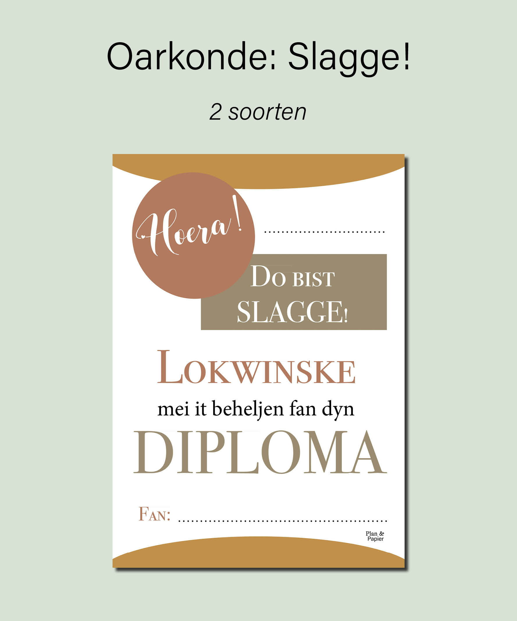 Oarkonde: Do bist slagge! (Frysk) - Afbeelding 2