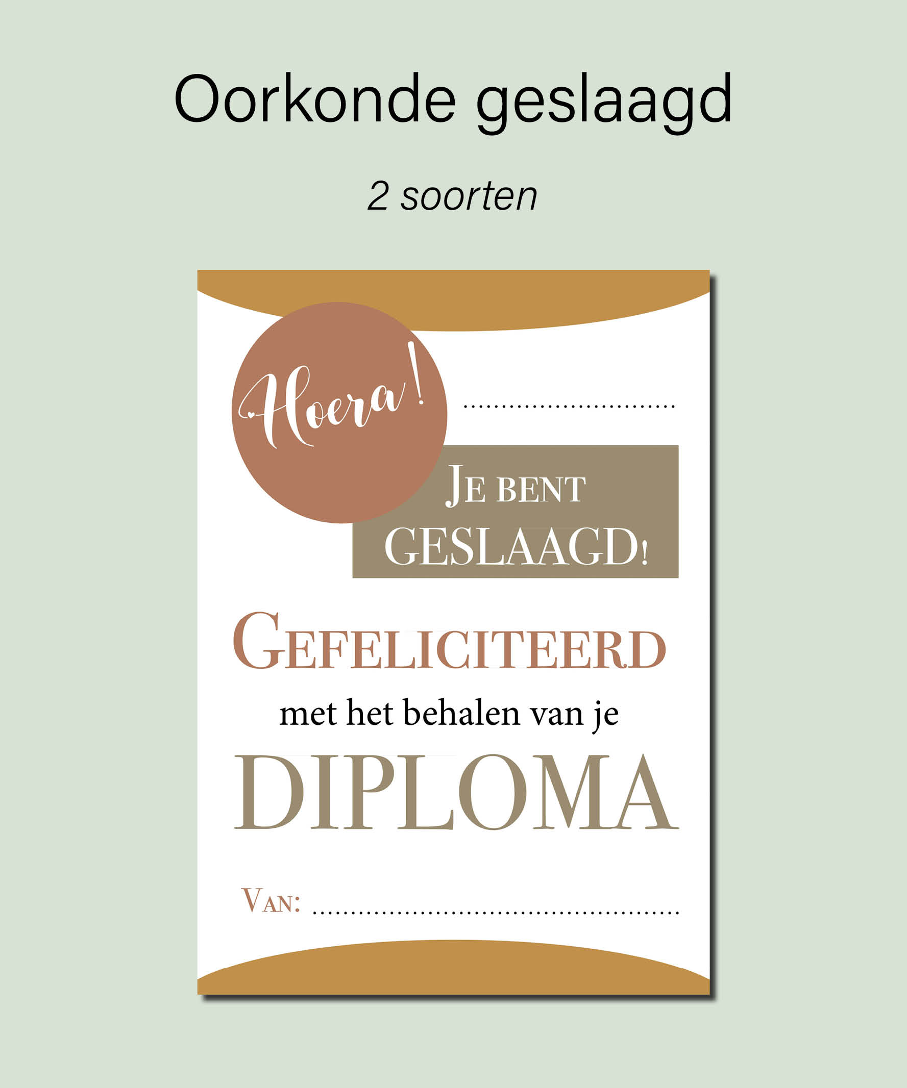 Oorkonde: Je bent geslaagd! - Afbeelding 2