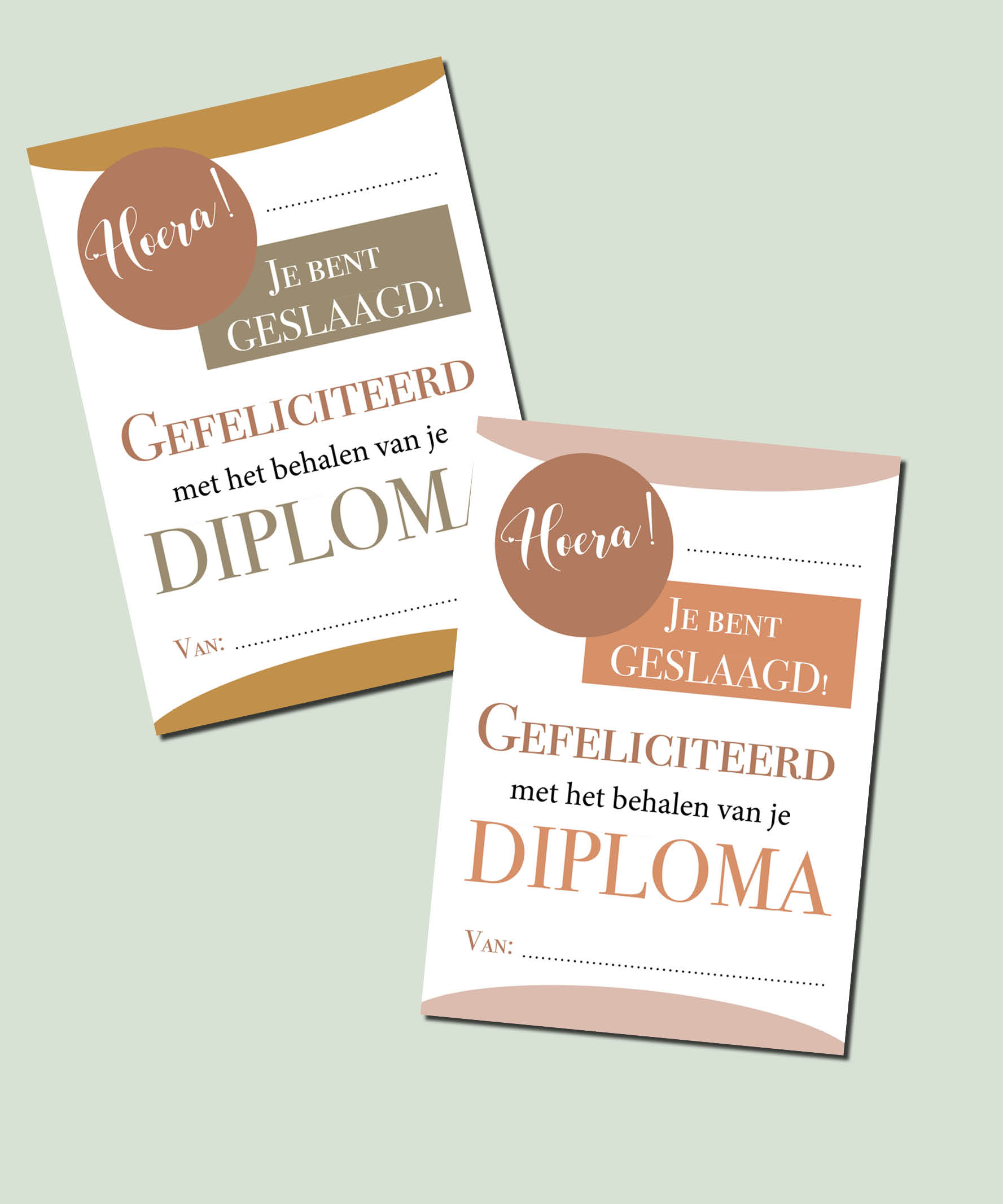 Oorkonde: Je bent geslaagd! - Afbeelding 4