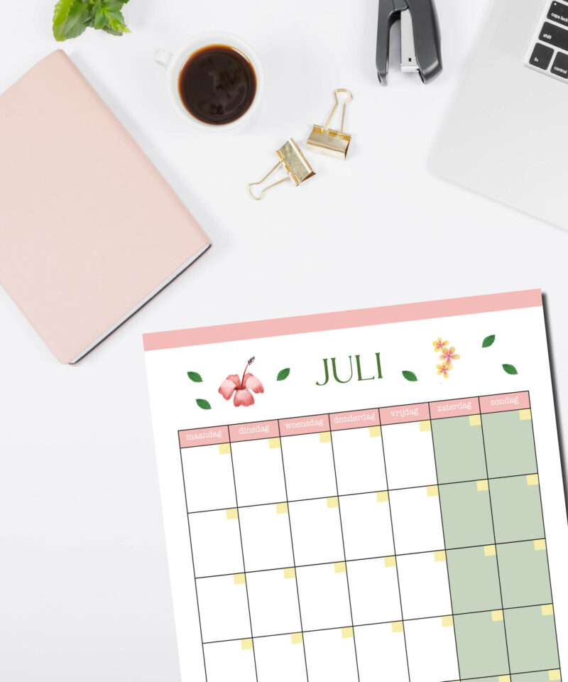 Juli kalender (zonder data) - Afbeelding 3