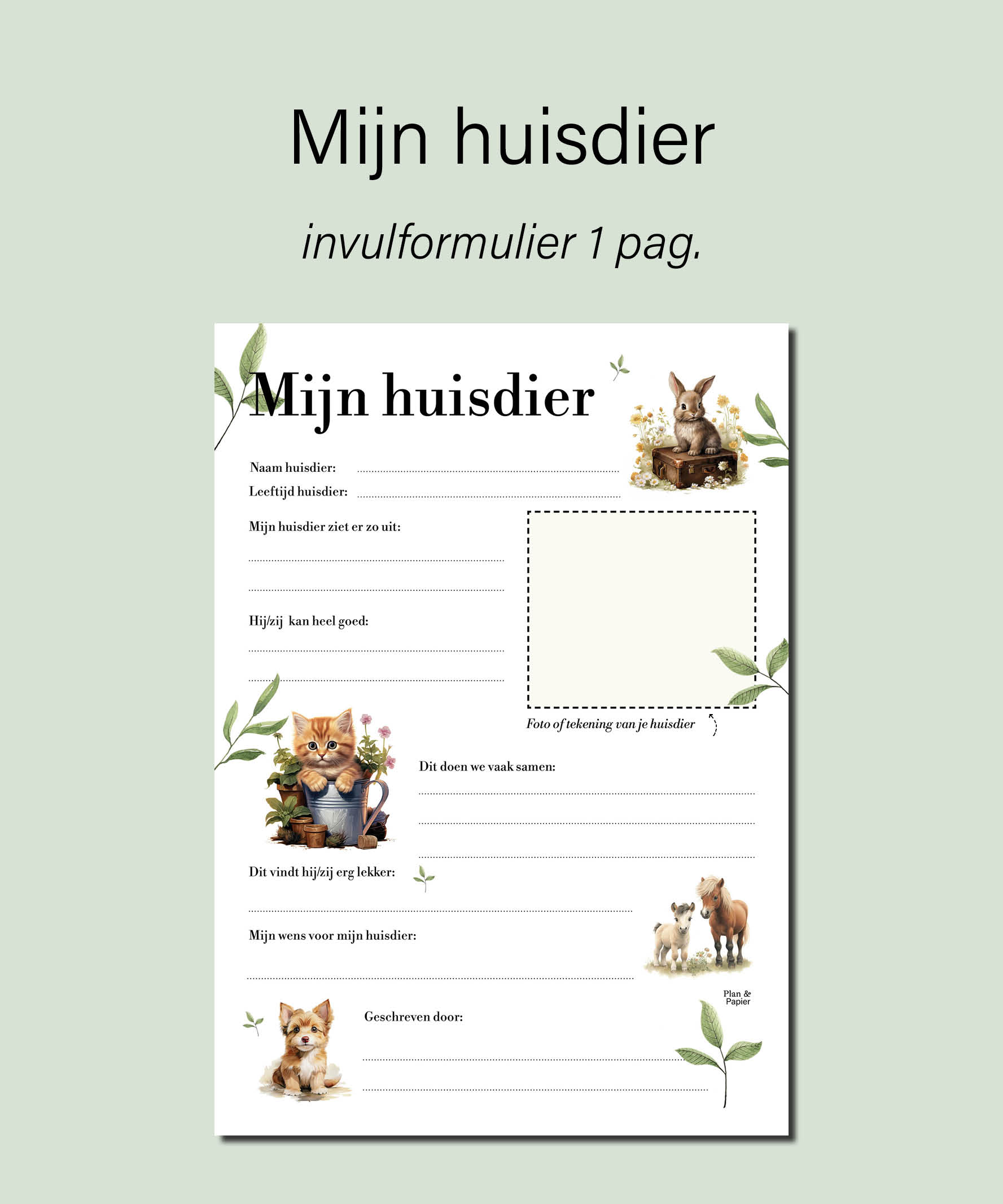 mijn huisdier